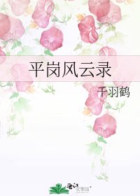 平岗风云录