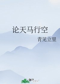 论天马行空
