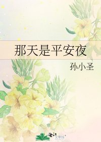 那天是平安夜