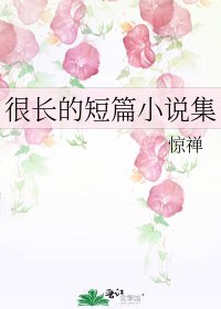 很长的短篇集