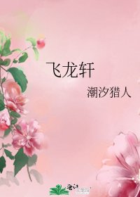 飞龙轩