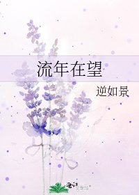 《流年在望》