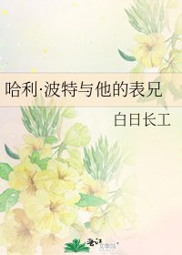 哈利·波特与他的表兄