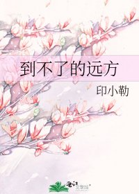 到不了的远方