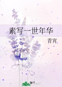 素写一世年华