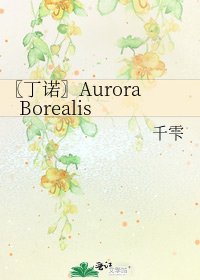 〖丁诺〗Aurora Borealis