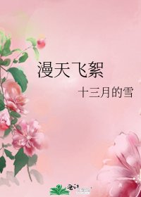 漫天飞絮