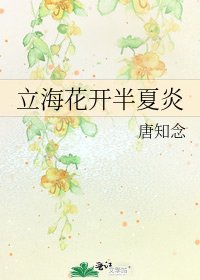立海花开半夏炎