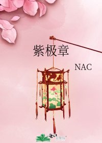 紫极章