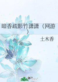 《暗香疏影竹潇潇(网游)》
