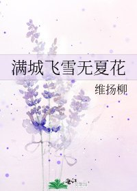 满城飞雪无夏花