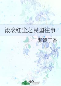滚滚红尘之民国往事