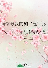 请修修我的加‘湿’器