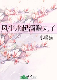 风生水起酒酿丸子