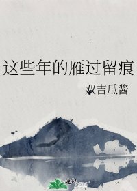 這些年的雁過留痕
