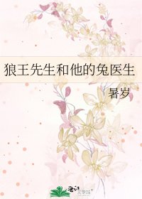 狼王先生和他的兔医生