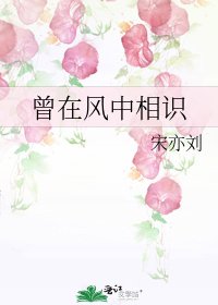 《曾在风中相识》