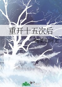 重开十五次初