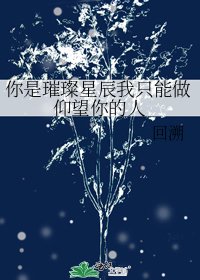 你是璀璨星辰我只能做仰望你的人