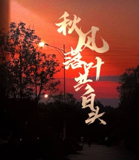 秋风落叶共柏头