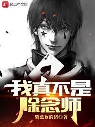 《(全职猎人同人)猎人:我真不是除念师》