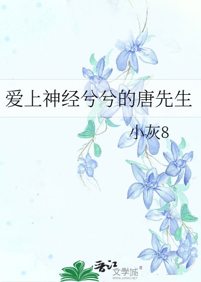 爱上神经兮兮的唐先生