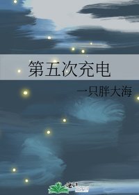 第五次充电