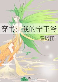 穿书:我的宁王爷