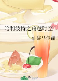 哈利波特之跨越时空