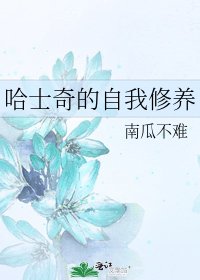 哈士奇的自我修养