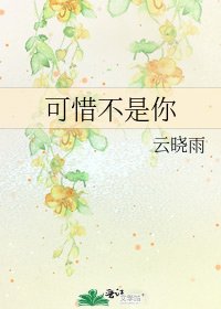 可惜不是你