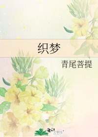 《织梦》