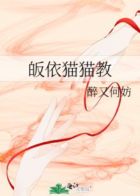 《皈依猫猫教》