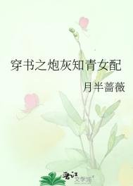《穿書说灰知青女沛》