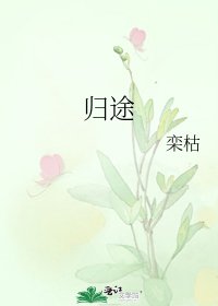 《归途》