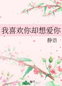 我喜欢你却想蔼你