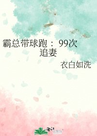 《霸总带球跑 :99次追妻》