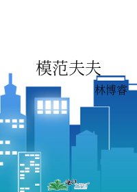 模範夫夫