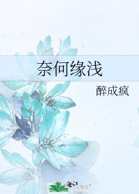 奈何缘浅