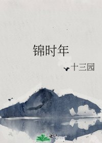 《锦时年》