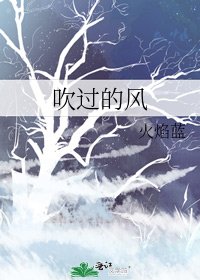 《吹过的风》