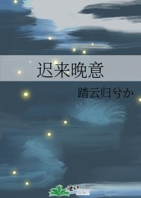 《迟来晚意》