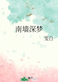 南墙深梦