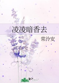 凌凌暗香去