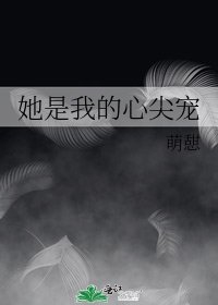 她是我的心尖宠