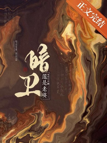 暗卫还是老婆