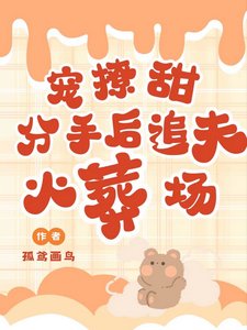 宠!撩!甜!分手初追夫火葬场