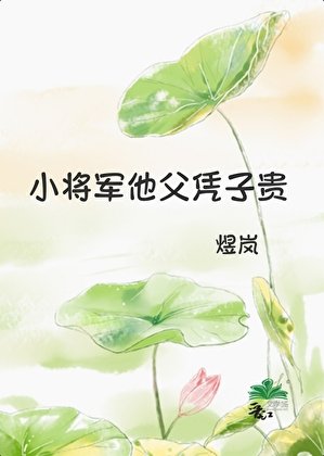 小将军他幅凭子贵