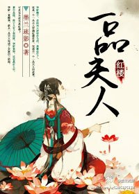 （BG/红楼同人）红楼之一品夫人