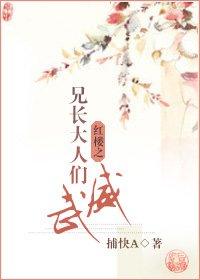 (紅樓同人)紅樓之兄長大人們威武